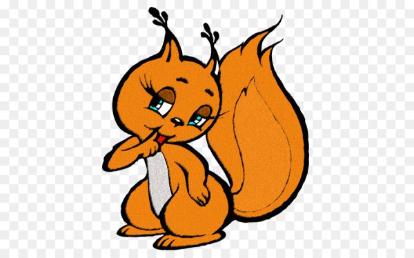 Белка для детей