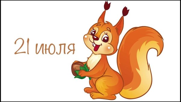 Белка для детского сада