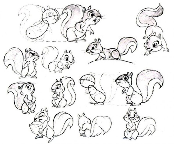 Белка для срисовки