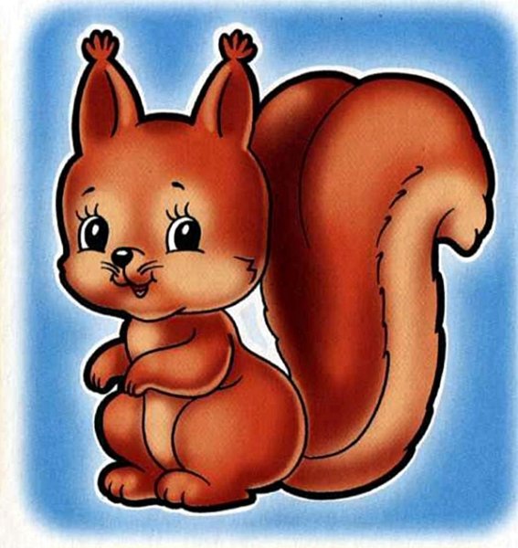 Белка для детей