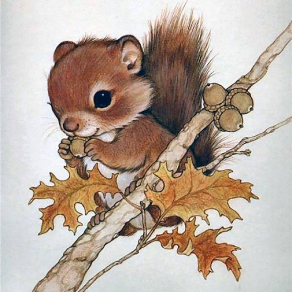 Ruth Morehead белки