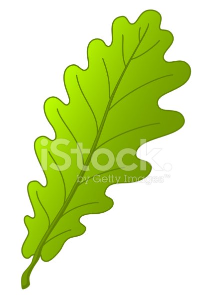 Дубовый лист мультяшный