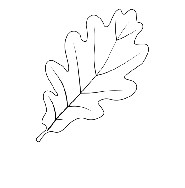 Дубовый лист трафарет