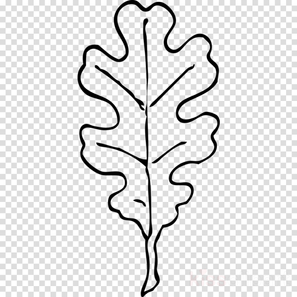 Дубовый лист трафарет для вырезания