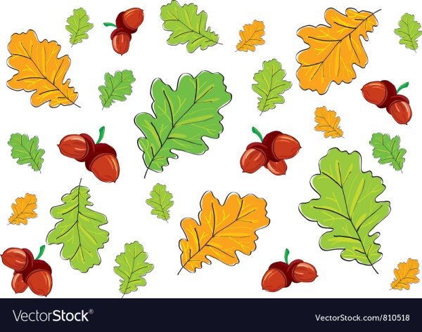 Дубовый листик цветной