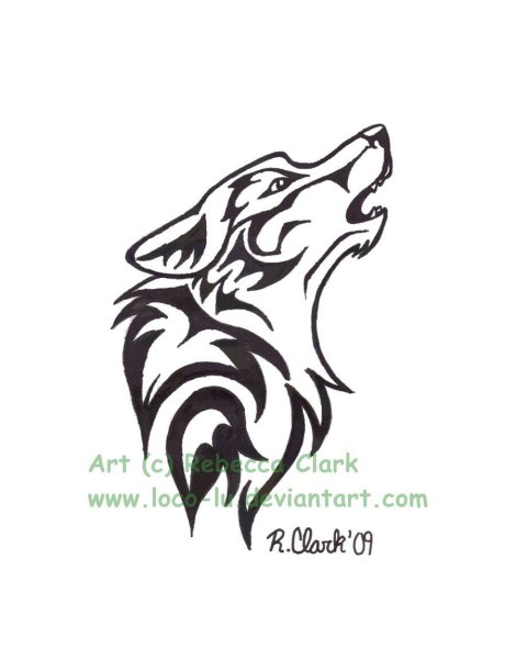 Легкий набросок волка