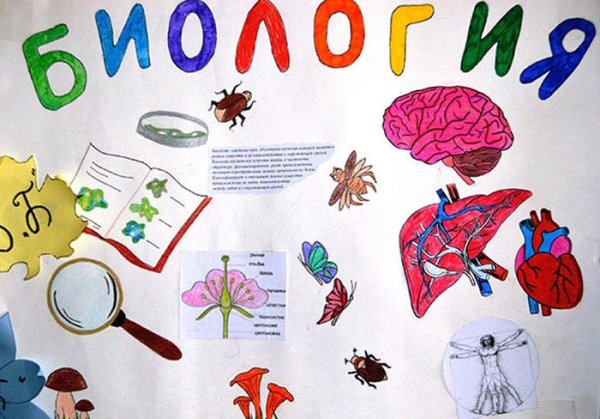 Газета по русскому языку