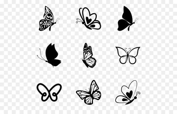 Бабочка вектор