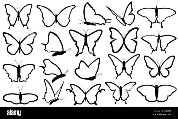 Бабочки контур много на листе