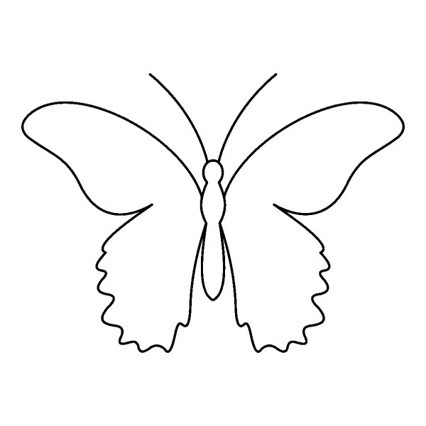 Бабочка без узоров