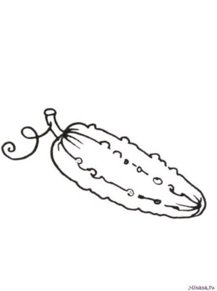 Огурец раскраска для детей