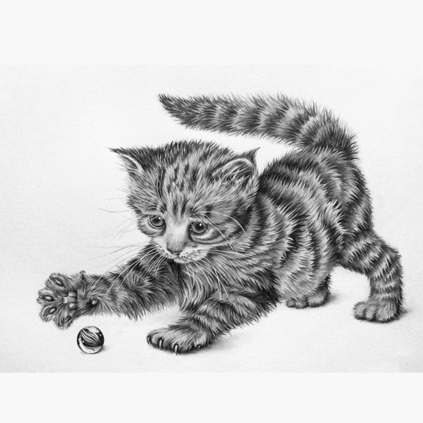 Графический рисунок котёнка для детей