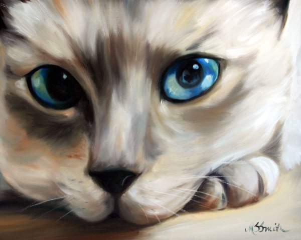 Реалистичные коты