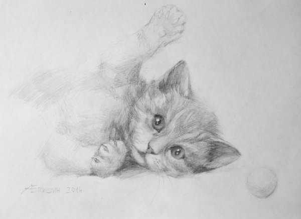 Котенок простым карандашом