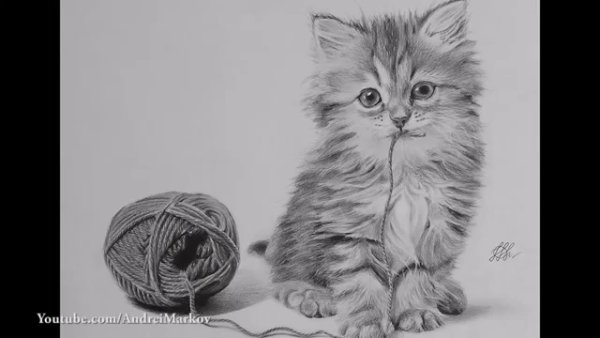 Котенок простым карандашом