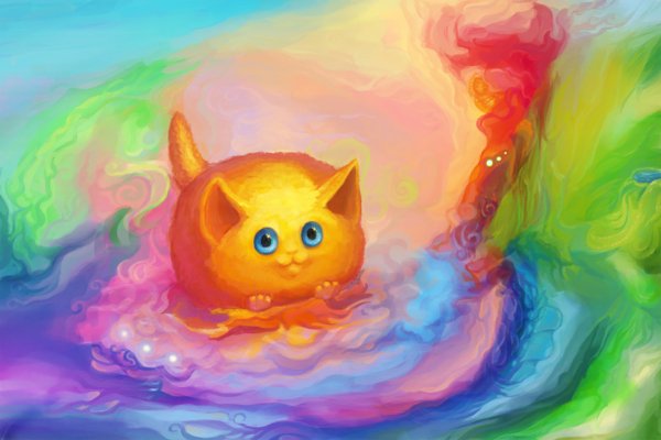 Разноцветные котики