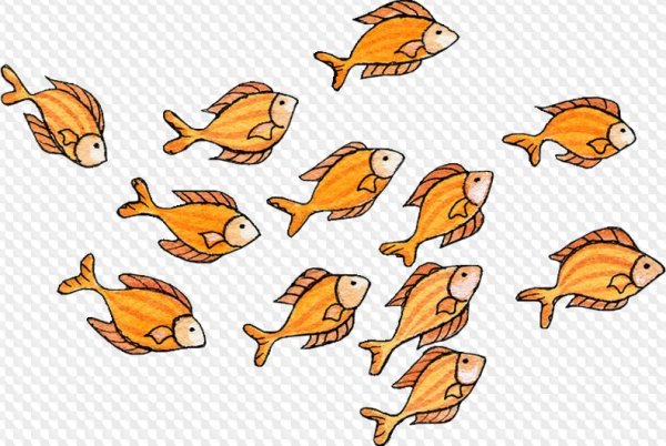 Стайка рыб на белом фоне