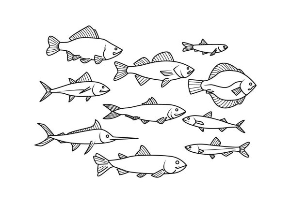 Силуэты рыбы разные