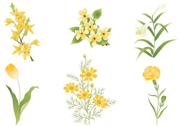 Желтые цветы вектор