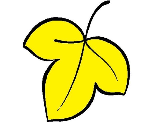 Предметы желтого цвета