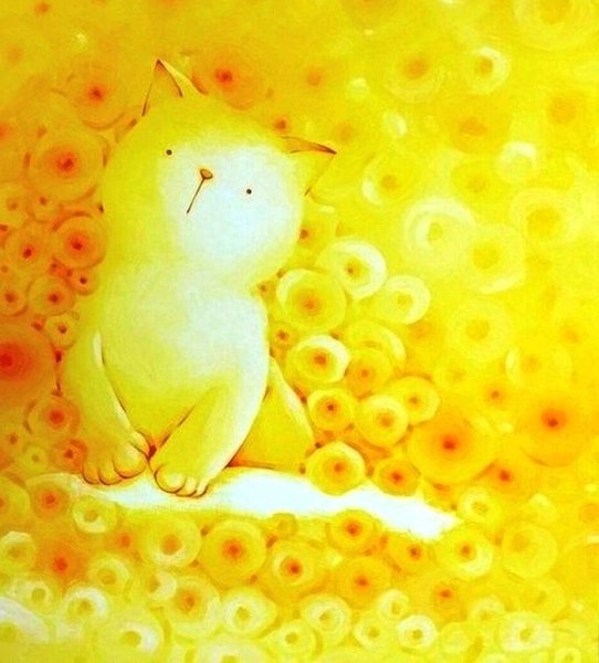 Солнечный котик