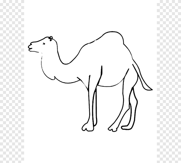 Нарисовать верблюда
