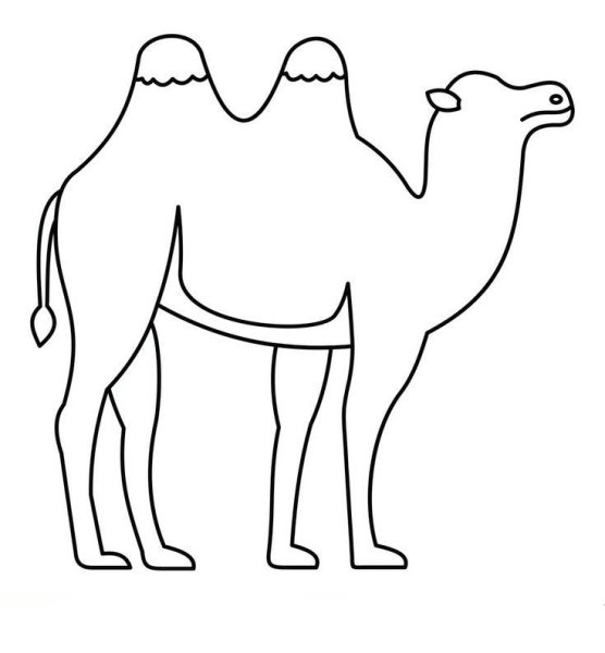 Верблюд трафарет