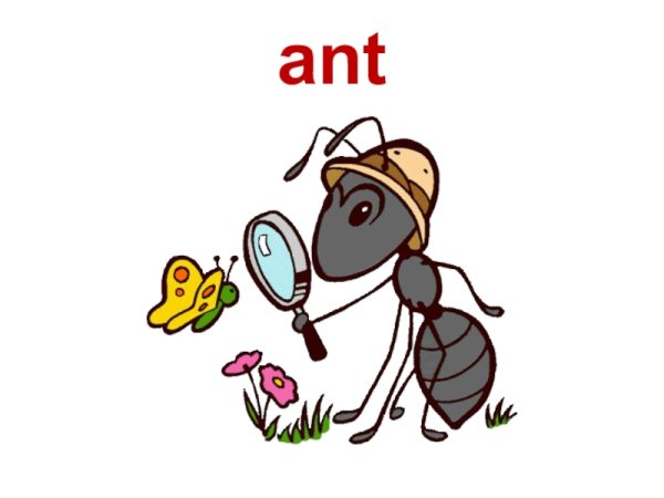 Муравей для детей вопросик