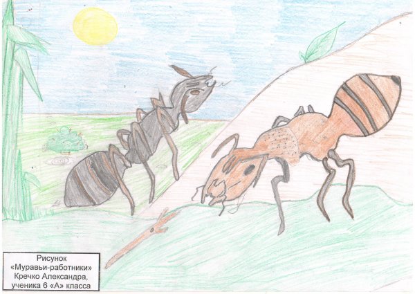 Приключения муравьишки гусеница Землемер