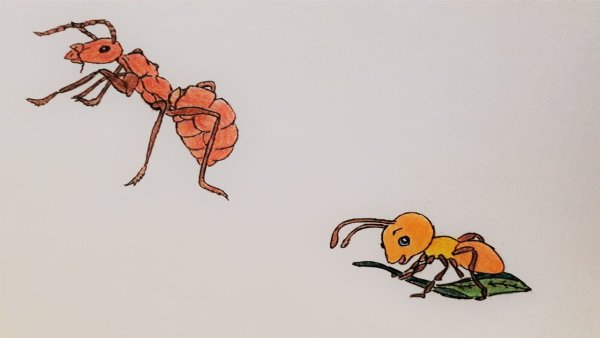 Бианки в. в. "как муравьишка домой спешил"