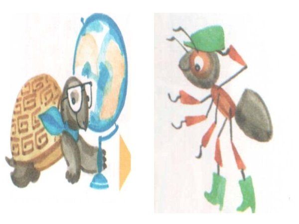 Муравей сказочный