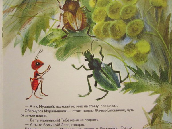 Школа Росси черепаха и муравей