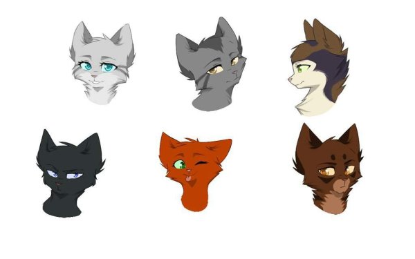 Стили рисовки котов воителей