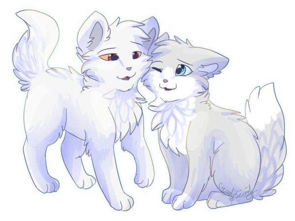 Коты Воители Stickers