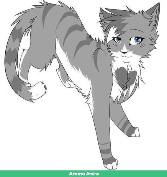 Коты Воители герои