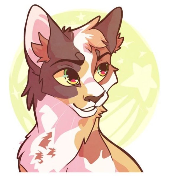 Коты Воители Чистозуб