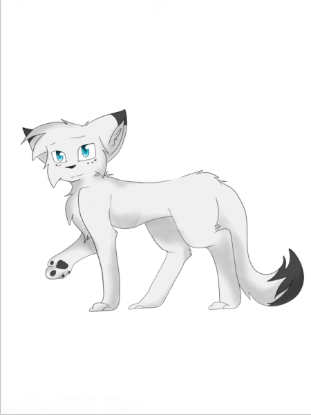 Стили рисования котов воителей