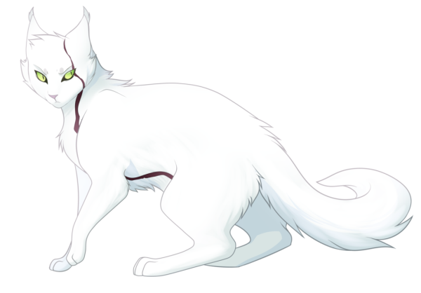 Срисовки котов воителей