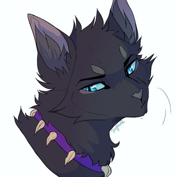 Коты Воители лайн Чиби кота