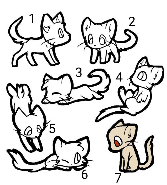 Коты Воители белка