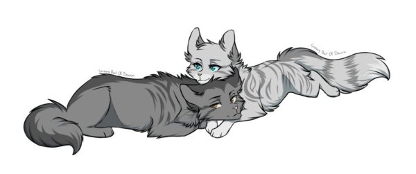 Коты Воители родословная Ежевичной звезды