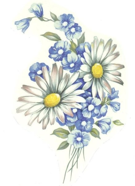 Ромашка эскиз