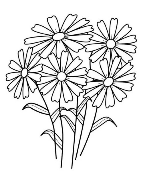 Цветы. Раскраска