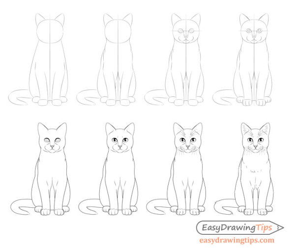 Котики для рисования легко