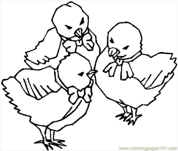 Балет невылупившихся птенцов раскраска