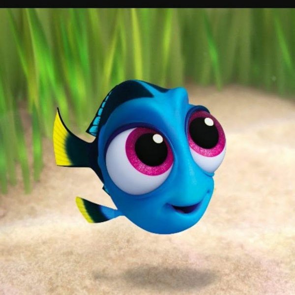 Рыбка дори и Немо