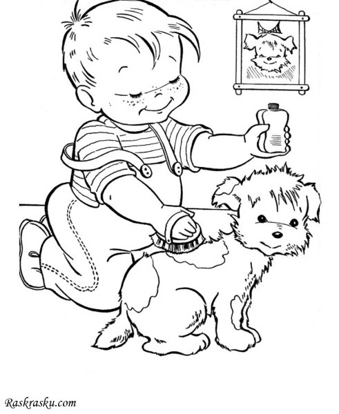 Плакаты в защиту бездомных животных