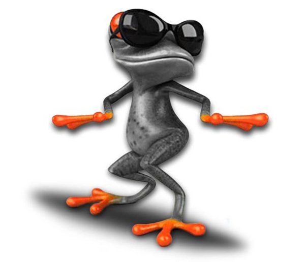 Лягушка с очками