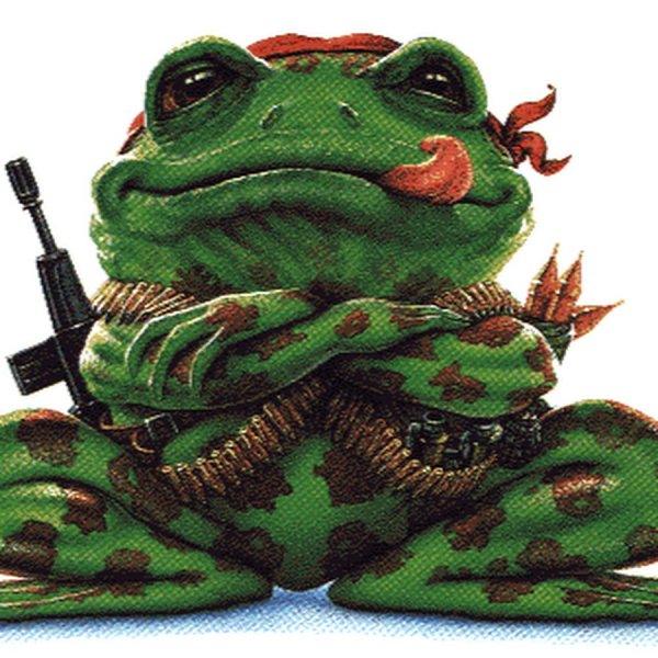 Жабка с оружием