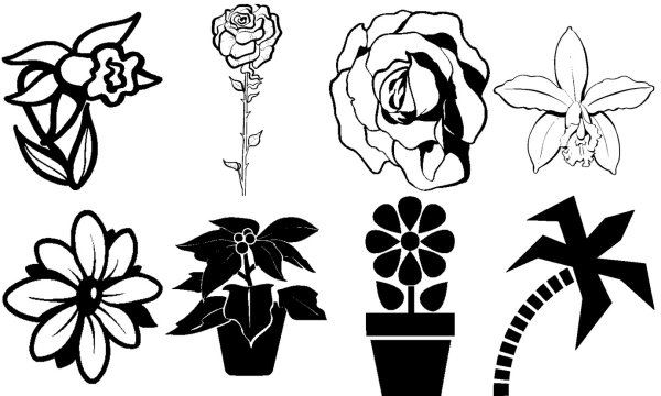 Цветы черно белые простые